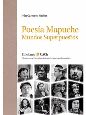 Poesía mapuche. Mundos superpuestos