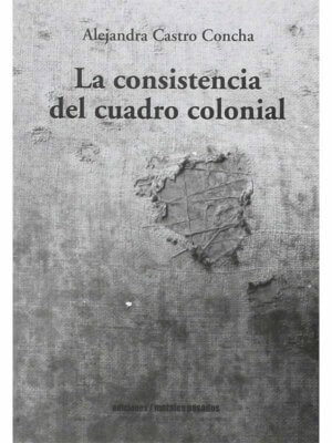 La consistencia del cuadro colonial